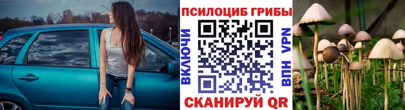 где купить наркотик  Камбарка  Галлюциногенные грибы мухоморы 